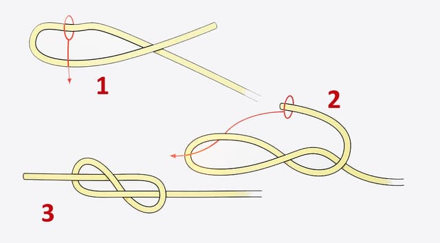 Ilustración del nudo de Ocho